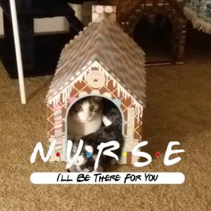 Meet your Posher, Amena